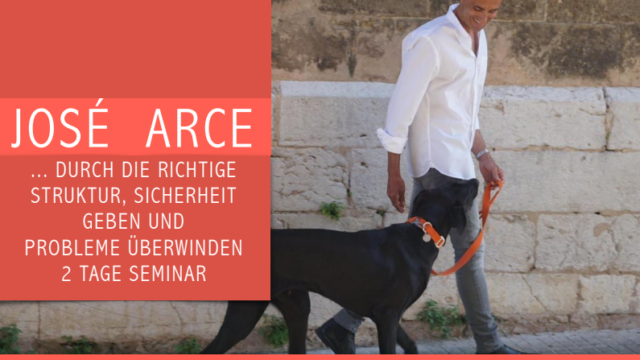 Seminar mit José Arce