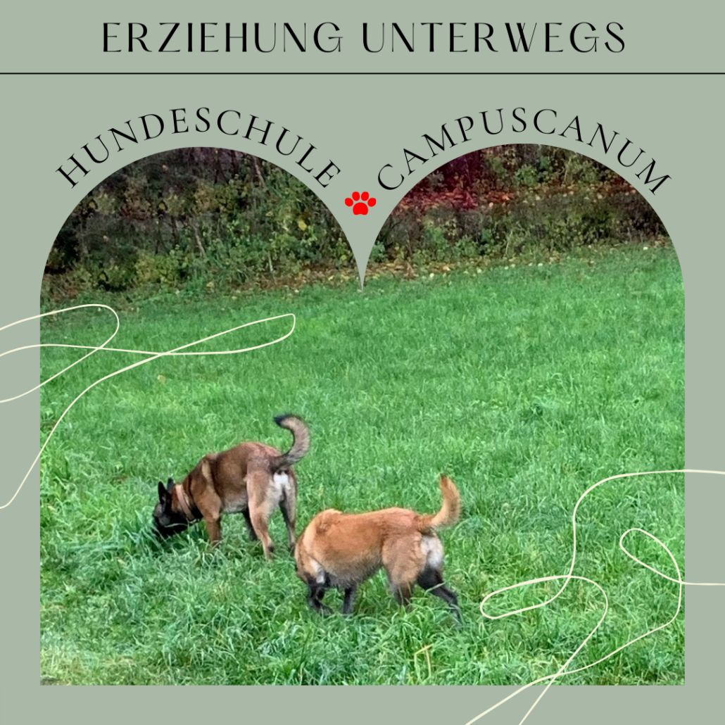 Erziehung-unterwegs