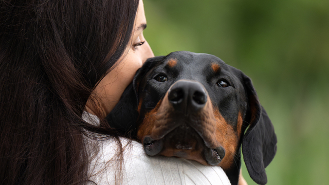 Schweiz: Fotosession für dich und deinen Hund in der Natur