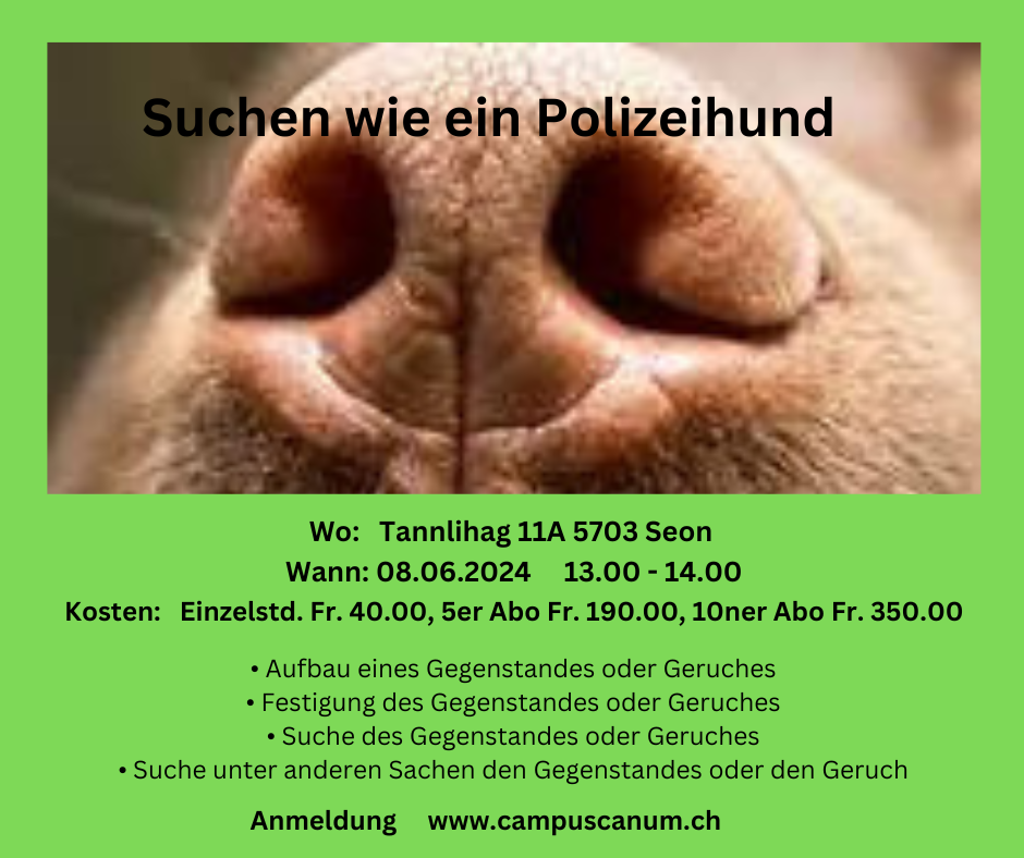 Suchen-wie-ein-Polizeihund2